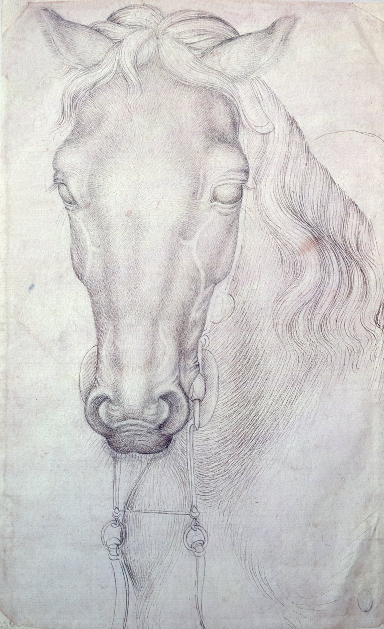 Hodet på en hest av Antonio Pisanello