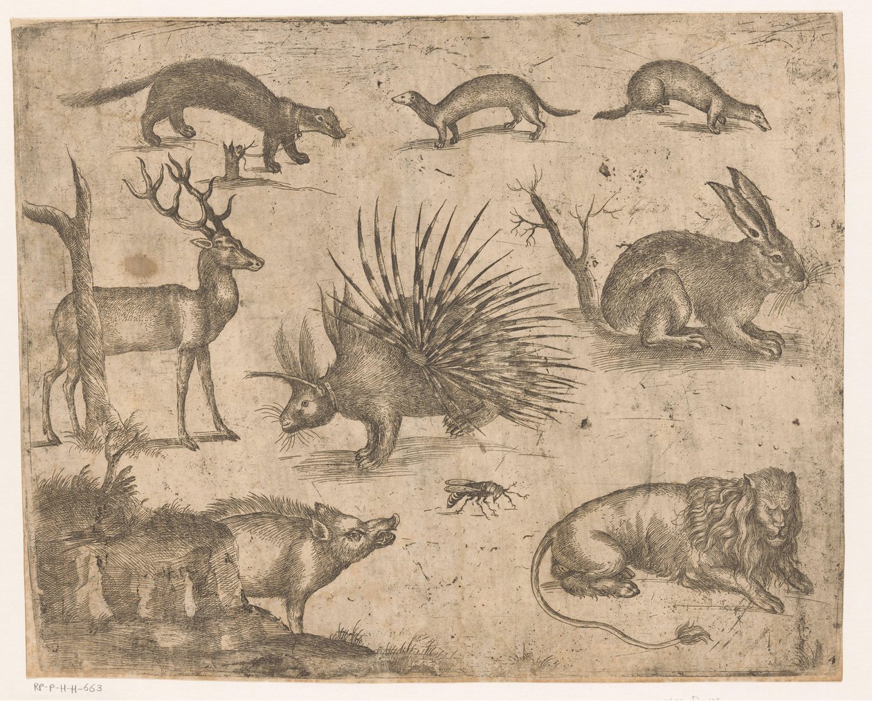 Studieark med forskjellige dyr av Antonio Tempesta (attributed to)