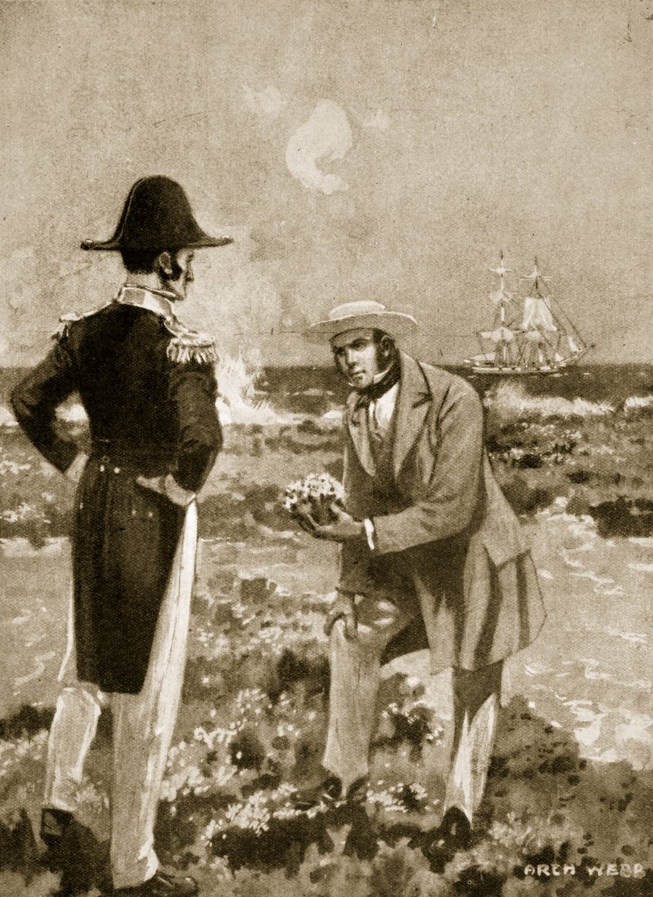 Darwin finner et interessant eksemplar av Archibald Webb
