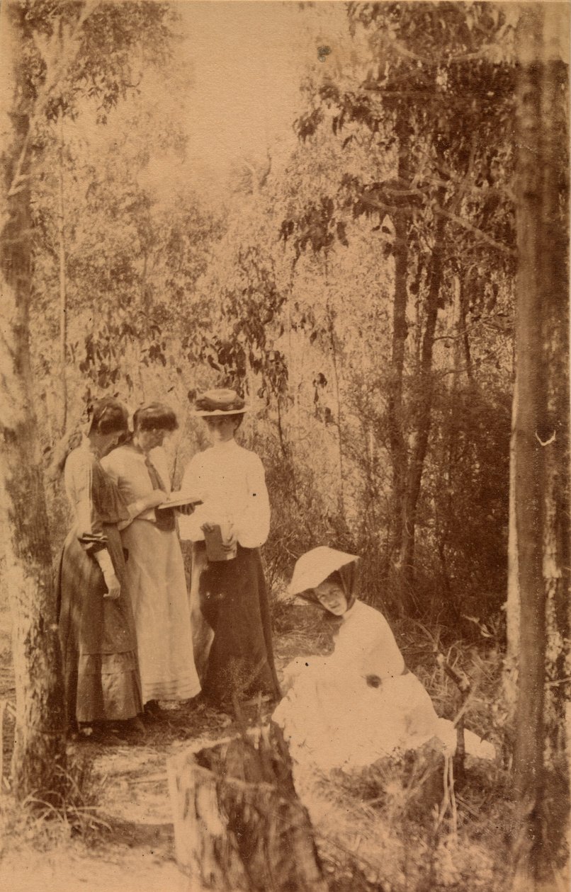 Nok en Camp Snap av Archibald James Campbell