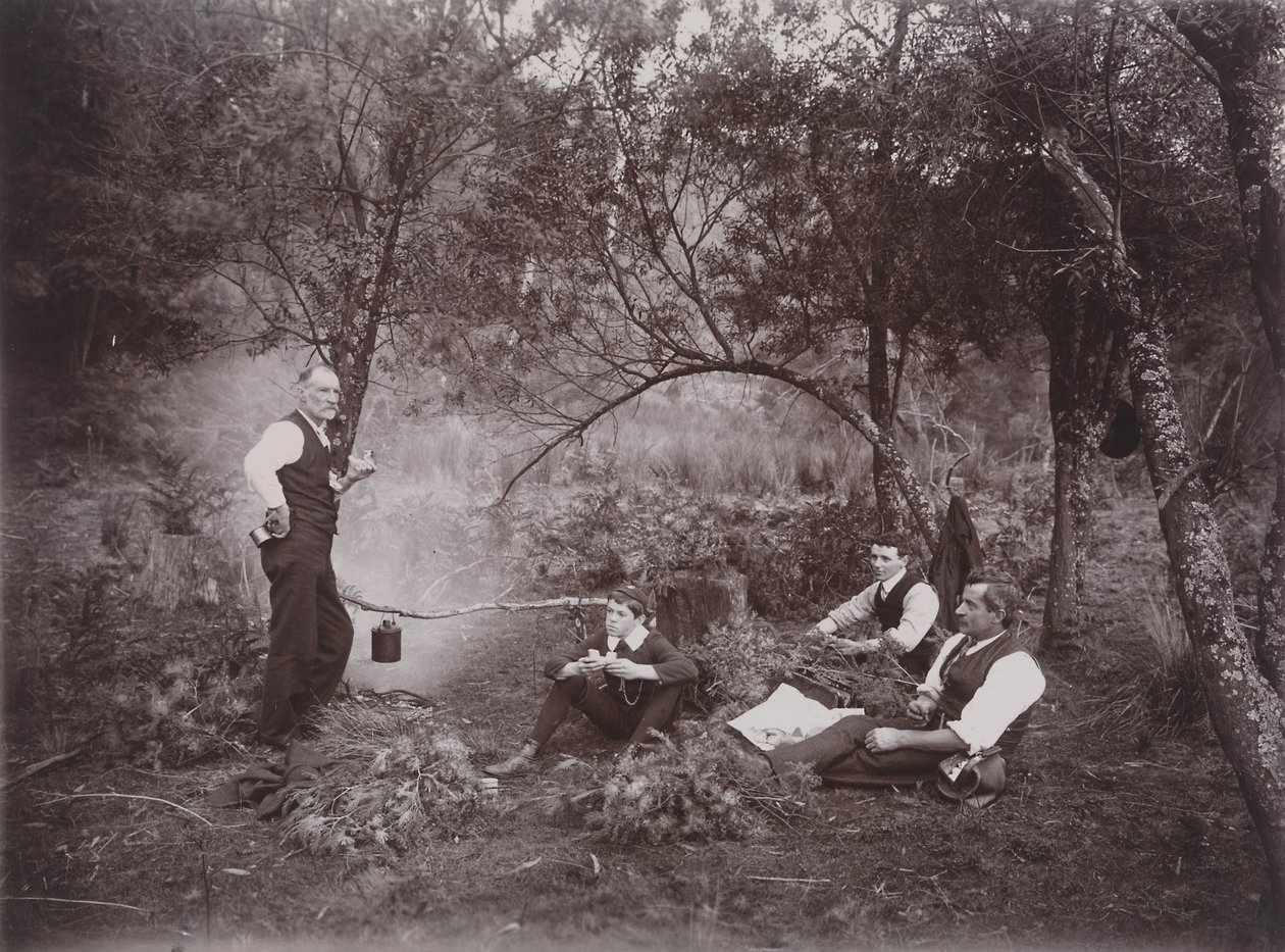 Samler Wattle av Archibald James Campbell