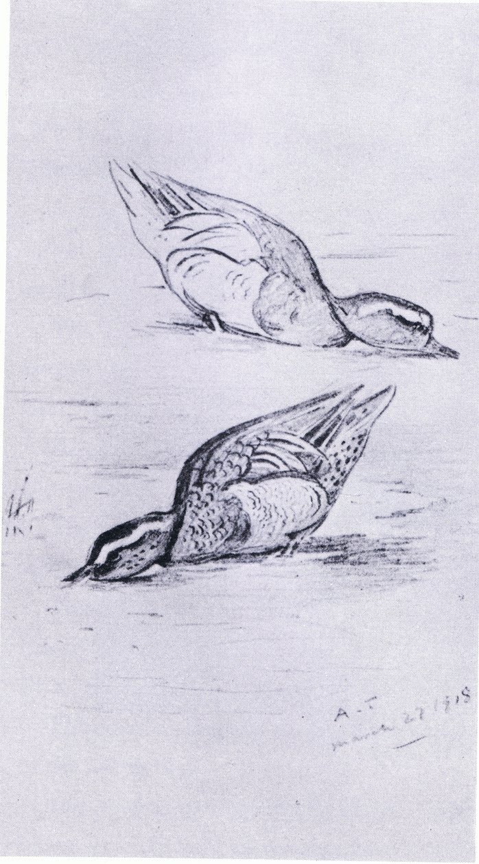 Garganey fôring, pub. av Book Club Associates, 1972 av Archibald Thorburn