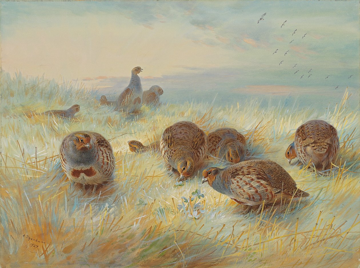 En frostig daggry av Archibald Thorburn