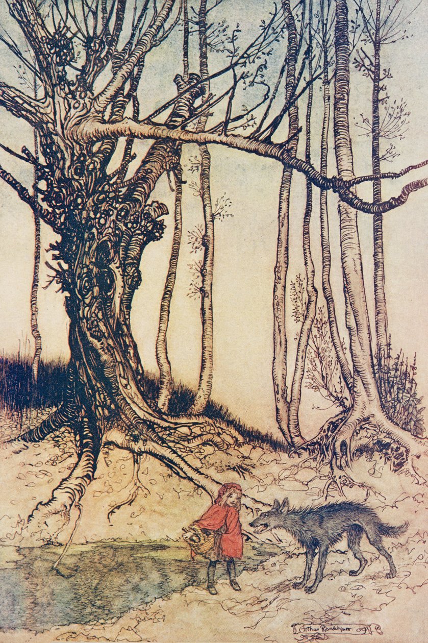 Da hun kom til skogen møtte hun en ulv .., fra The Fairy Tales of the Brothers Grimm, pub. 1909 av Arthur Rackham