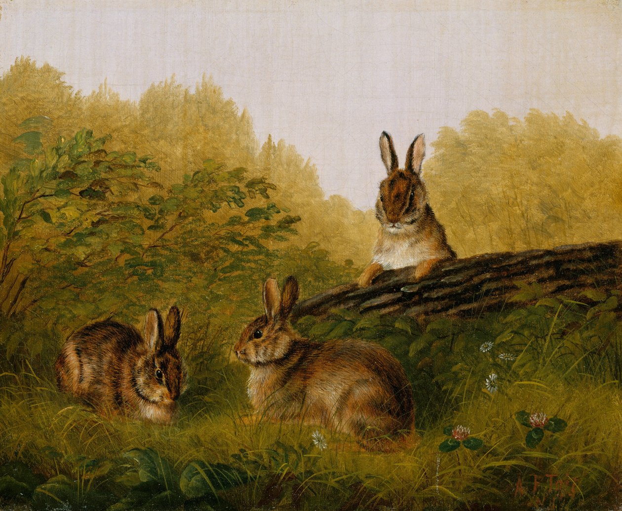 Kaniner på en tømmerstokk, 1897. av Arthur Fitzwilliam Tait