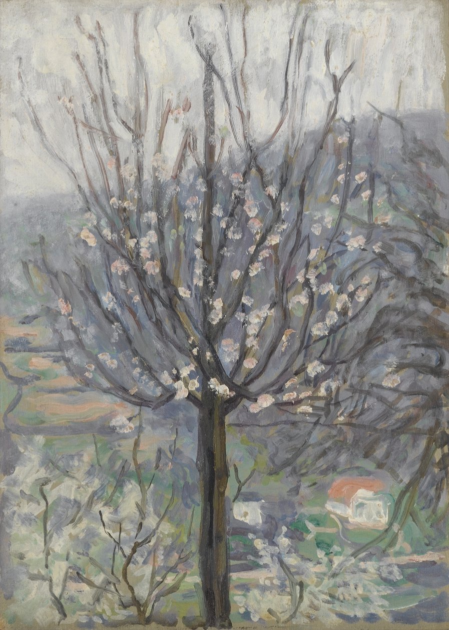 Blomst, tidlig morgen av Arthur Haythorne Studd