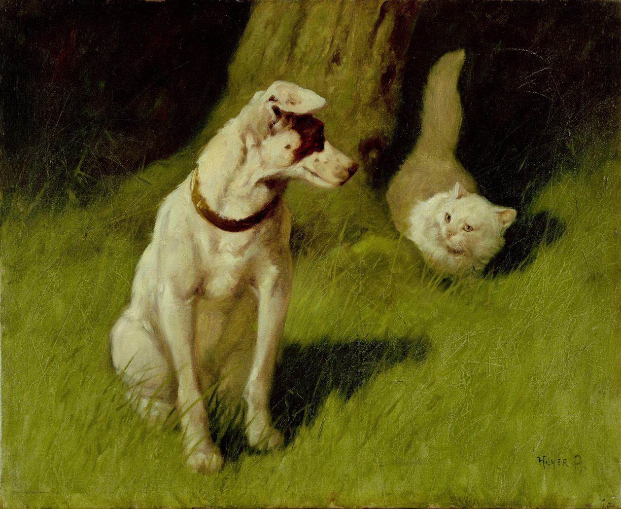 White Persian Cat og Jack Russell av Arthur Heyer