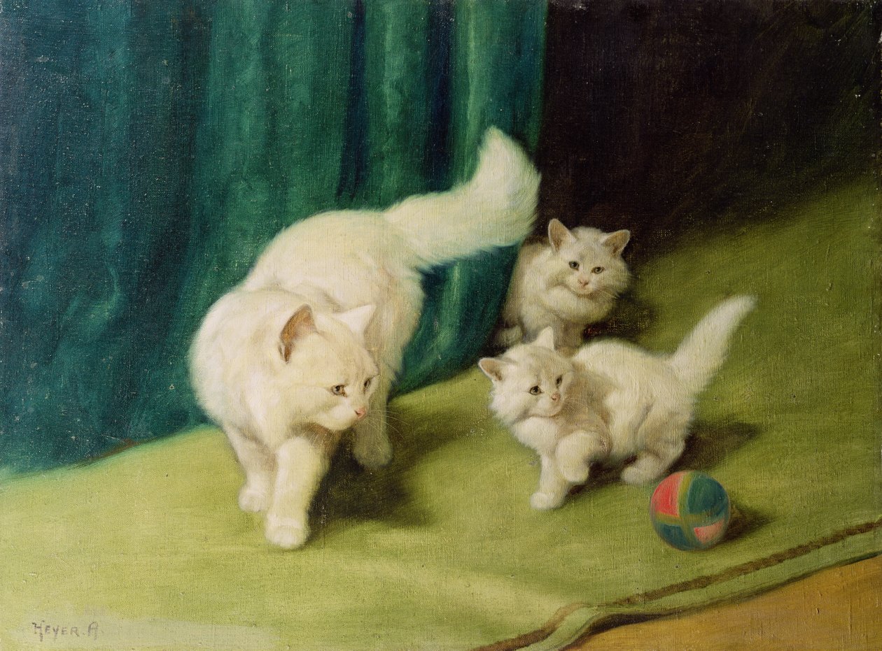 Hvit perserkatt med to kattunger av Arthur Heyer
