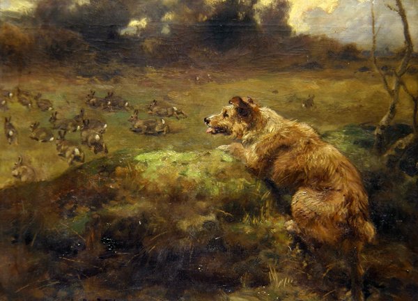 Rabbit Hunter (olje på lerret) av Arthur John Strutt