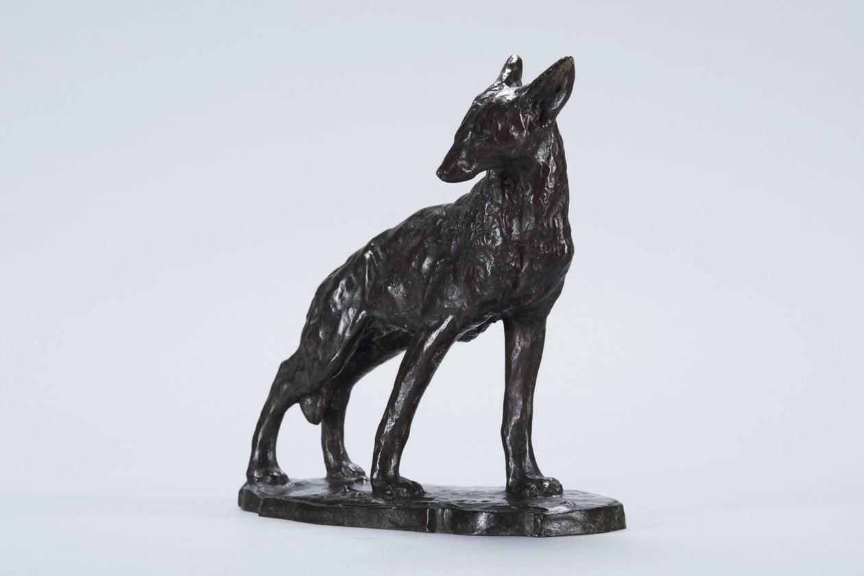 Alert Coyote (bronse) av Arthur Putnam