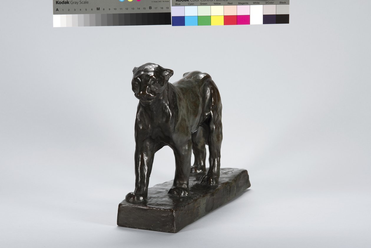 Leopardvandring av Arthur Putnam