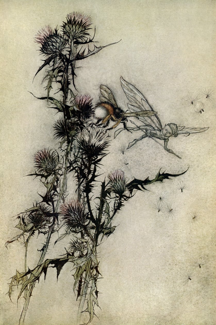 En midtsommernatts drøm av Arthur Rackham