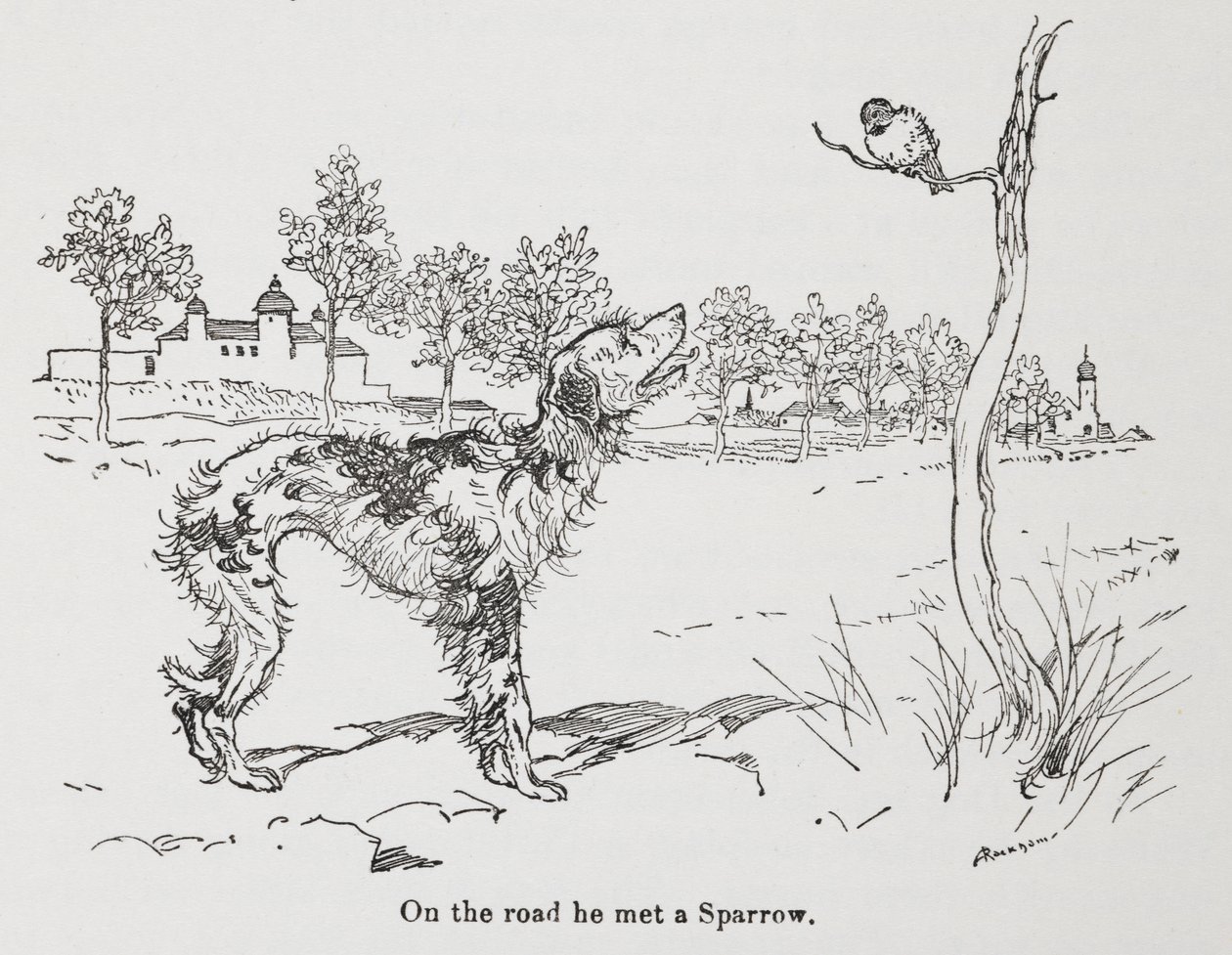 En hund og en spurv. av Arthur Rackham