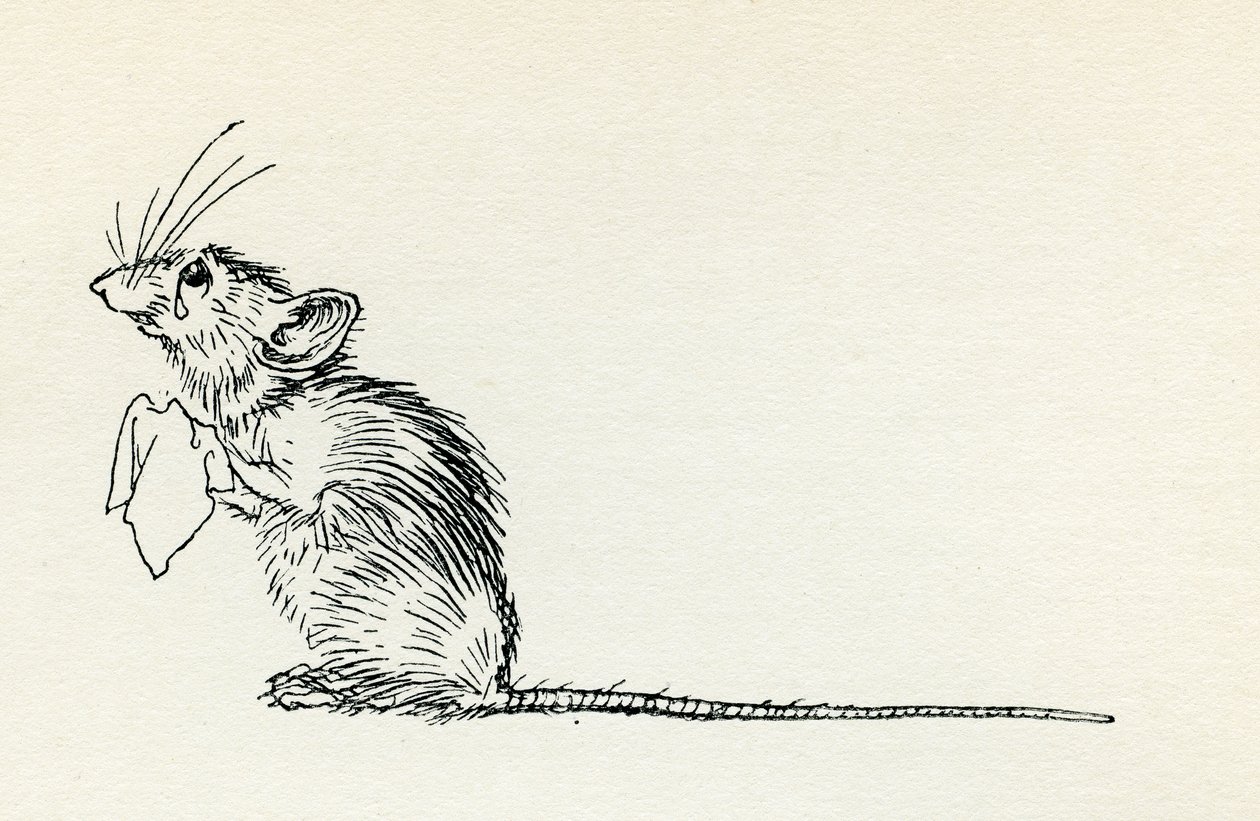 Titty Mouse og Tatty Mouse av Arthur Rackham