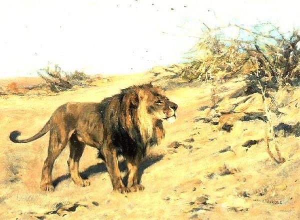 En løve blant skrubb av Arthur Wardle