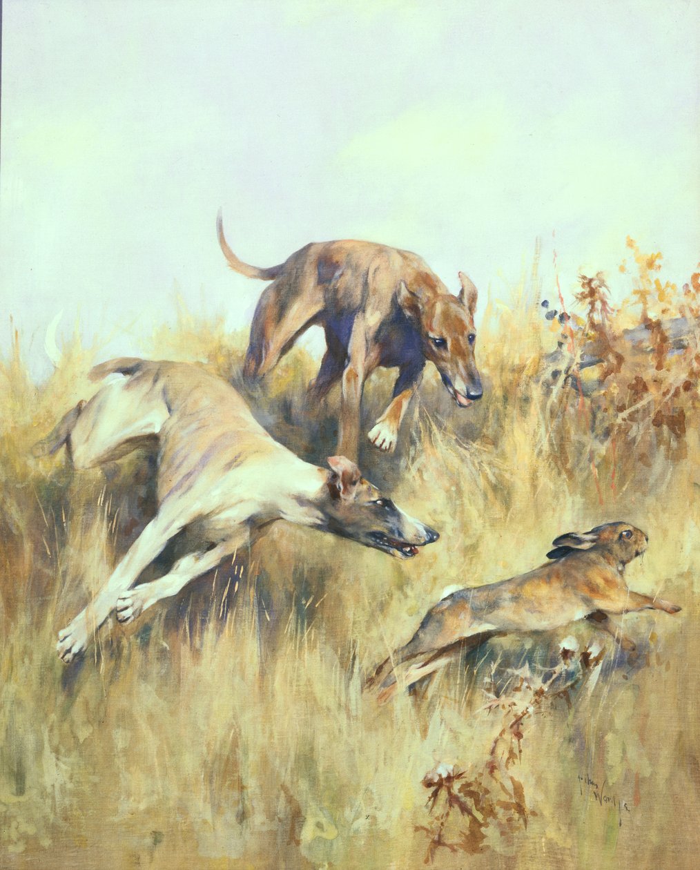 Greyhounds Giving Chase (gouache på papir) av Arthur Wardle