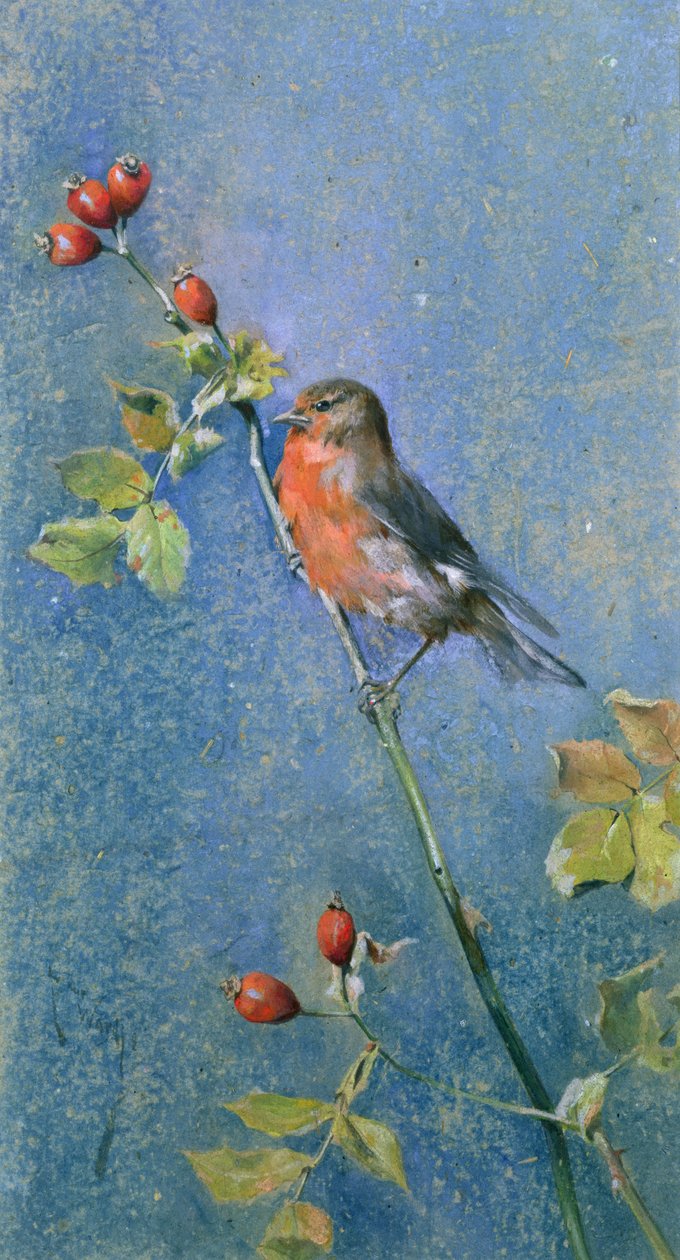 Robin på en gren av Arthur Wardle