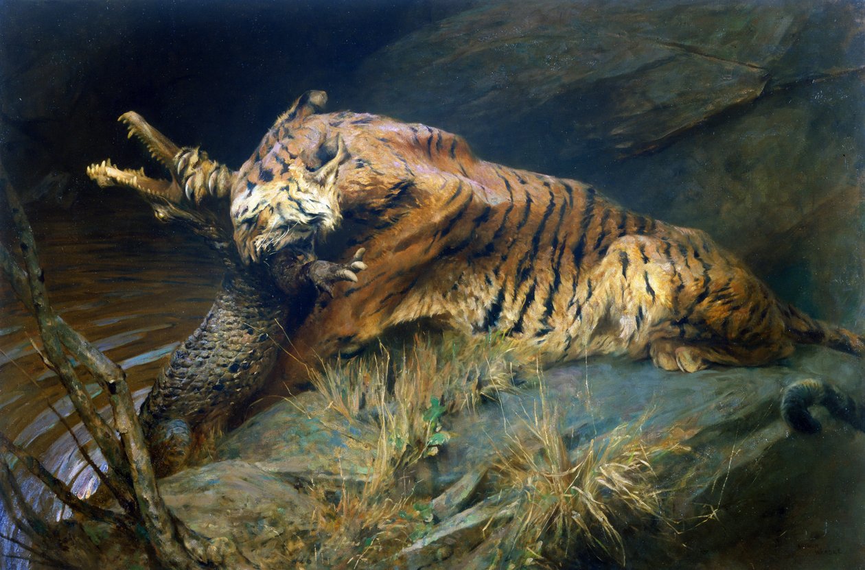 Tiger og krokodille (olje på lerret) av Arthur Wardle