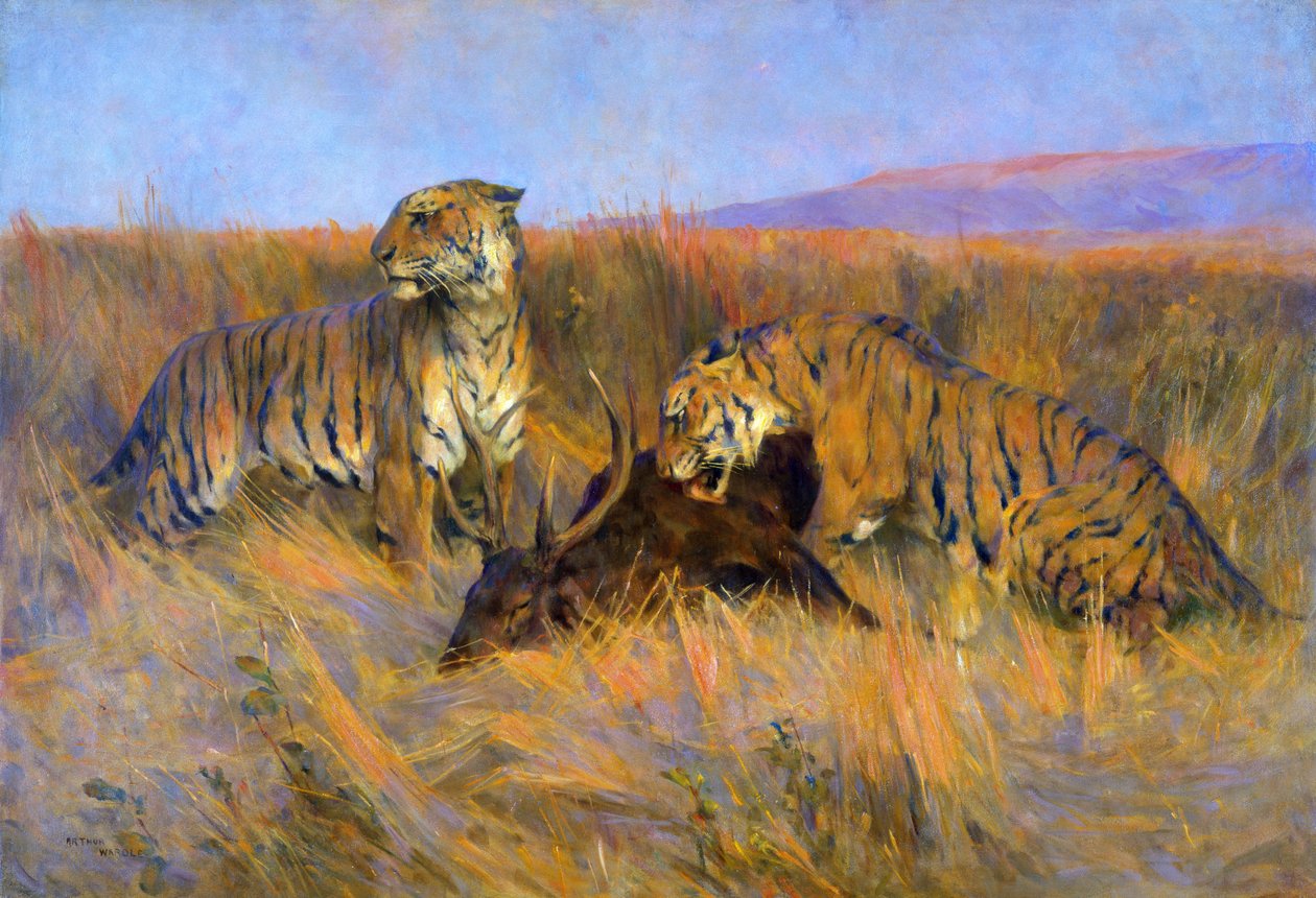 Tigers at Kill (olje på lerret) av Arthur Wardle