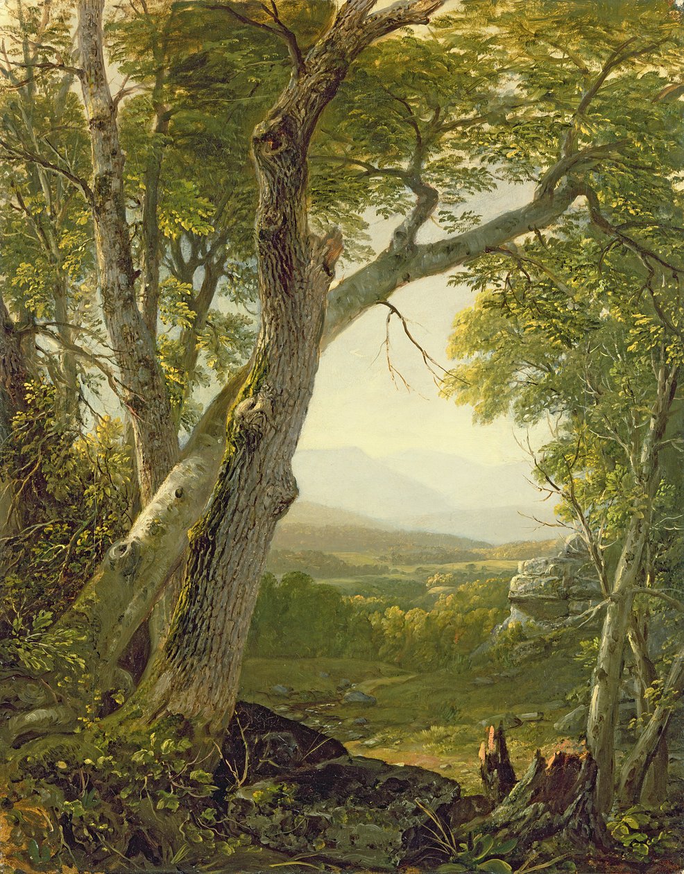 Shandaken Ridge, Kingston, New York, ca. 1854 av Asher Brown Durand