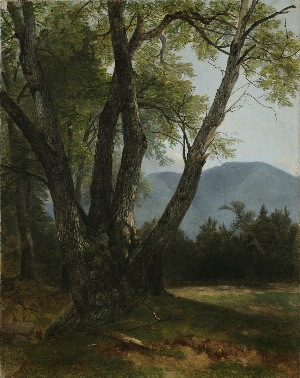 Shandaken, Ulster County, New York, 1854 av Asher Brown Durand