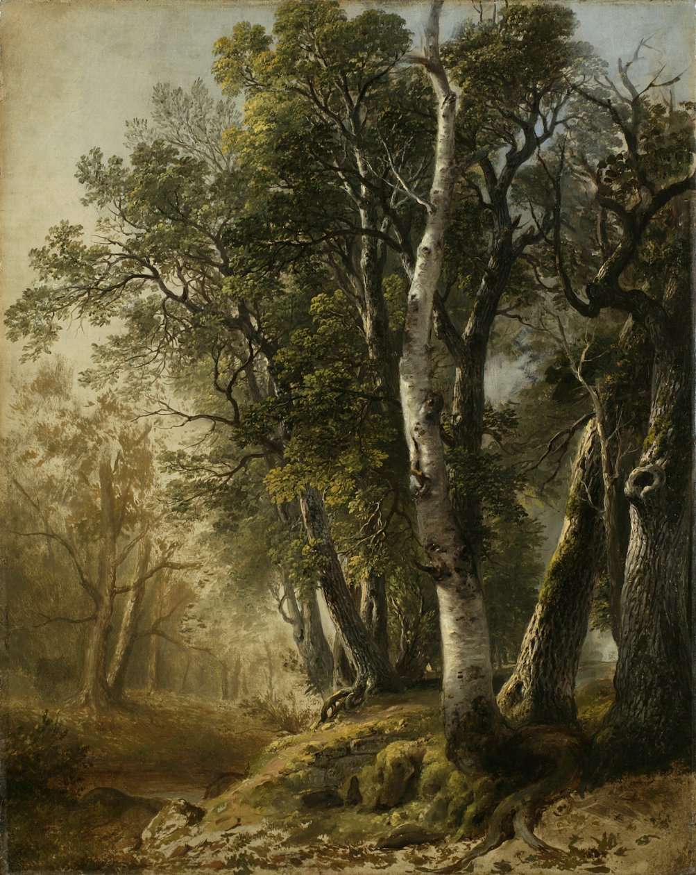Trees by the Brookside, Kingston, N.Y., 1846 (olje på lin) av Asher Brown Durand