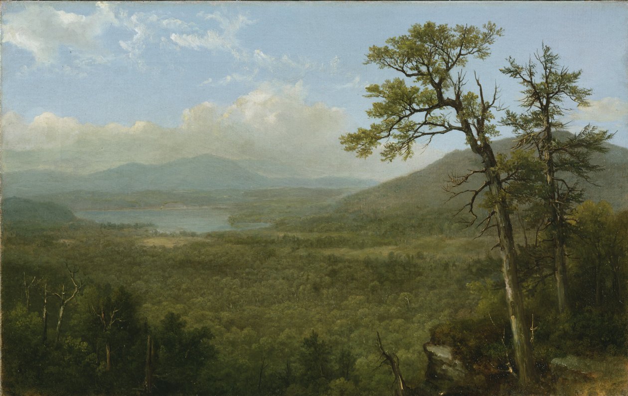 Adirondack Mountains, N.Y., 1870 av Asher Brown Durand