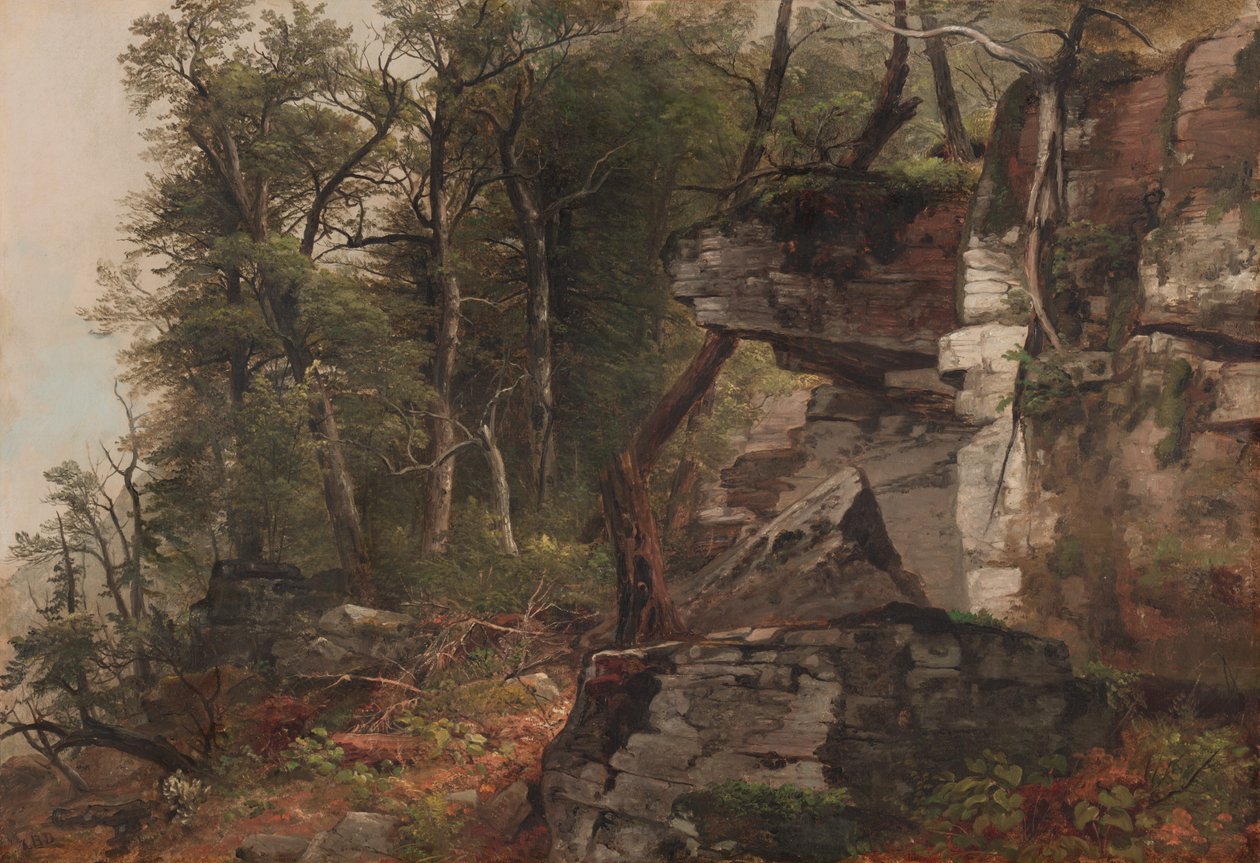 Trær på en steinete åsside av Asher Brown Durand