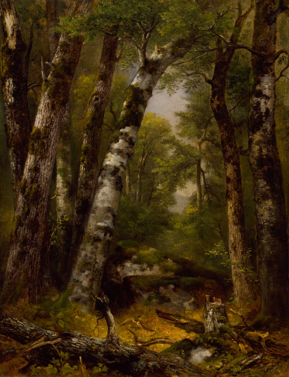 Woodland Glen, ca. 1850-1855. av Asher Brown Durand