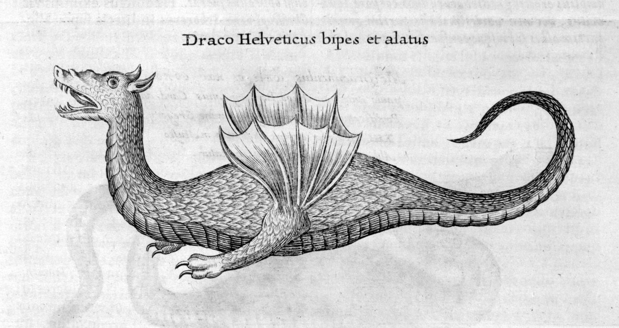 Drage, 1678 av Athanasius Kircher
