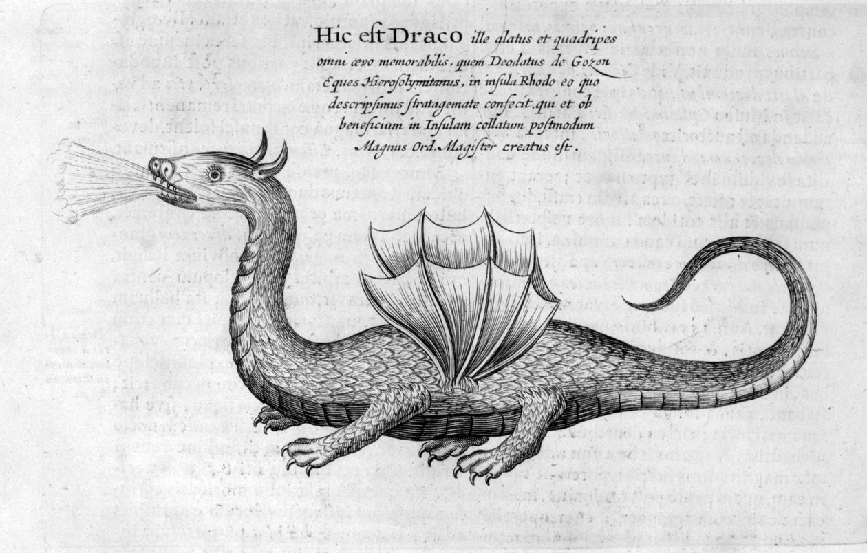 Drage, 1678 av Athanasius Kircher
