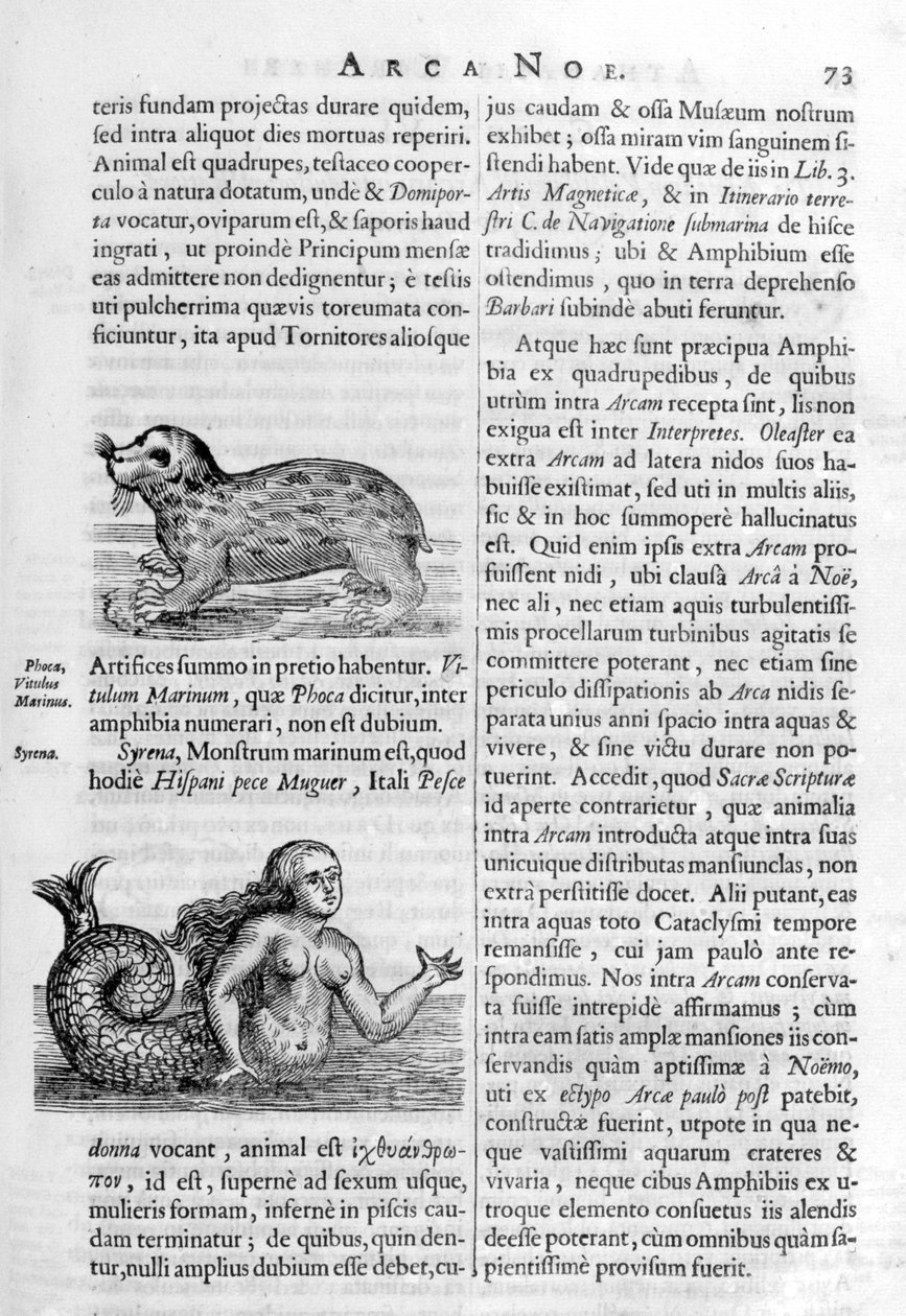 Mytiske skapninger, 1675. av Athanasius Kircher