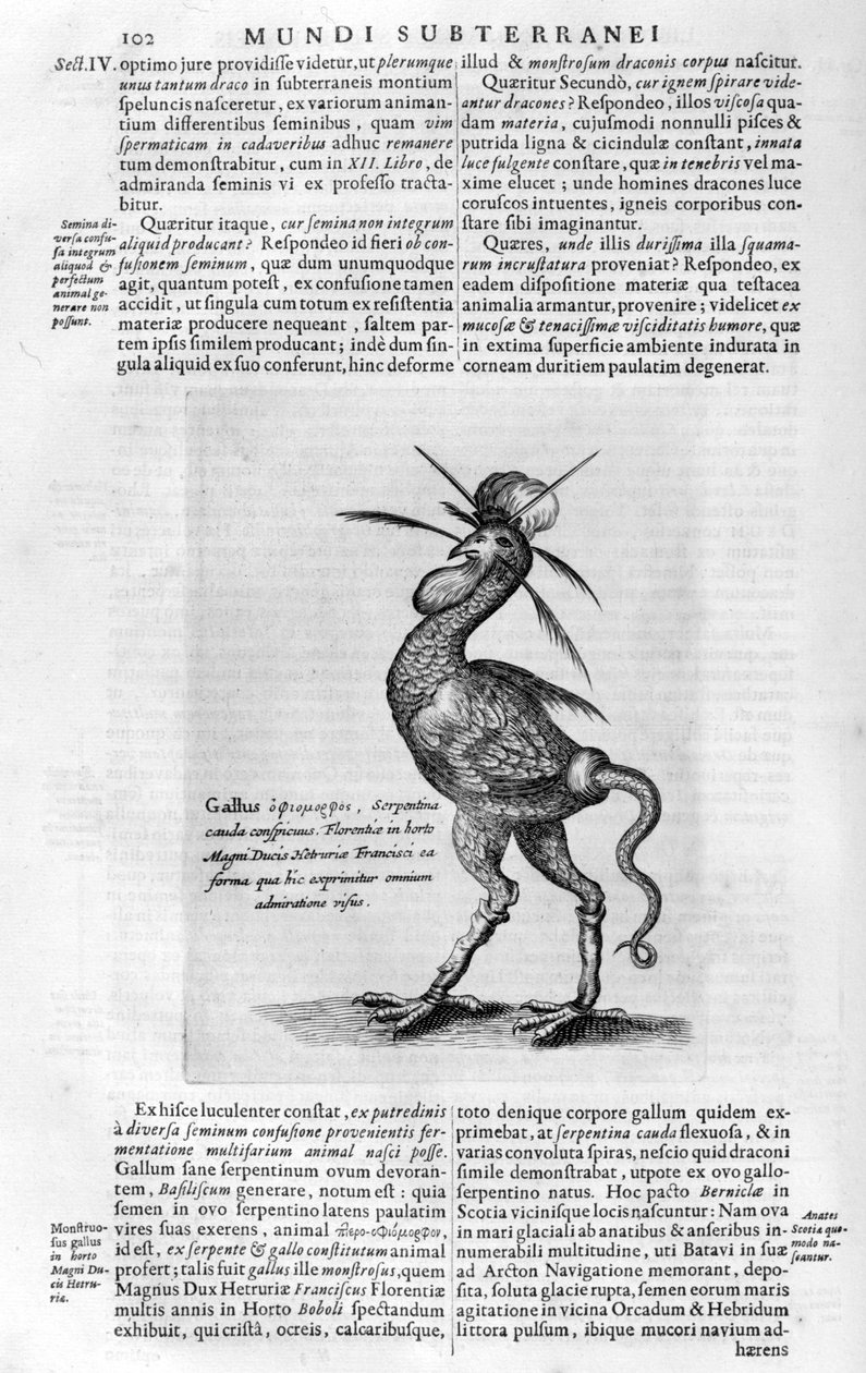 Mytiske skapninger, 1678. av Athanasius Kircher