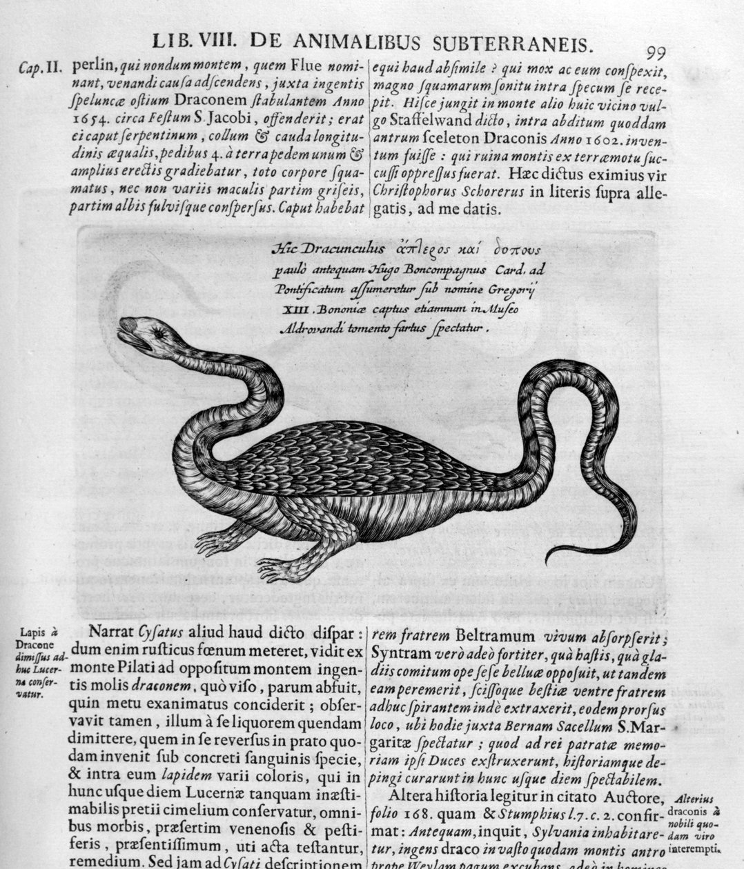 Liten drage, 1678 av Athanasius Kircher