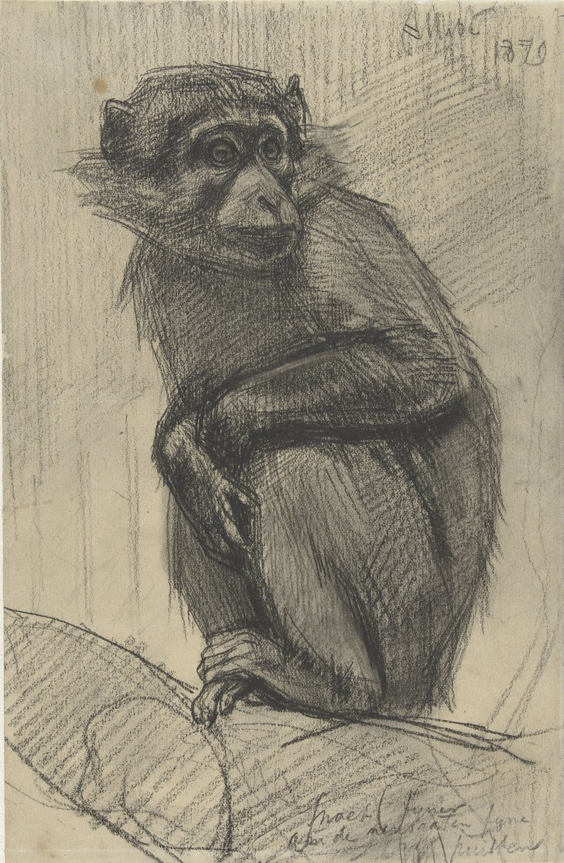 Monkey på en gren av August Allebe