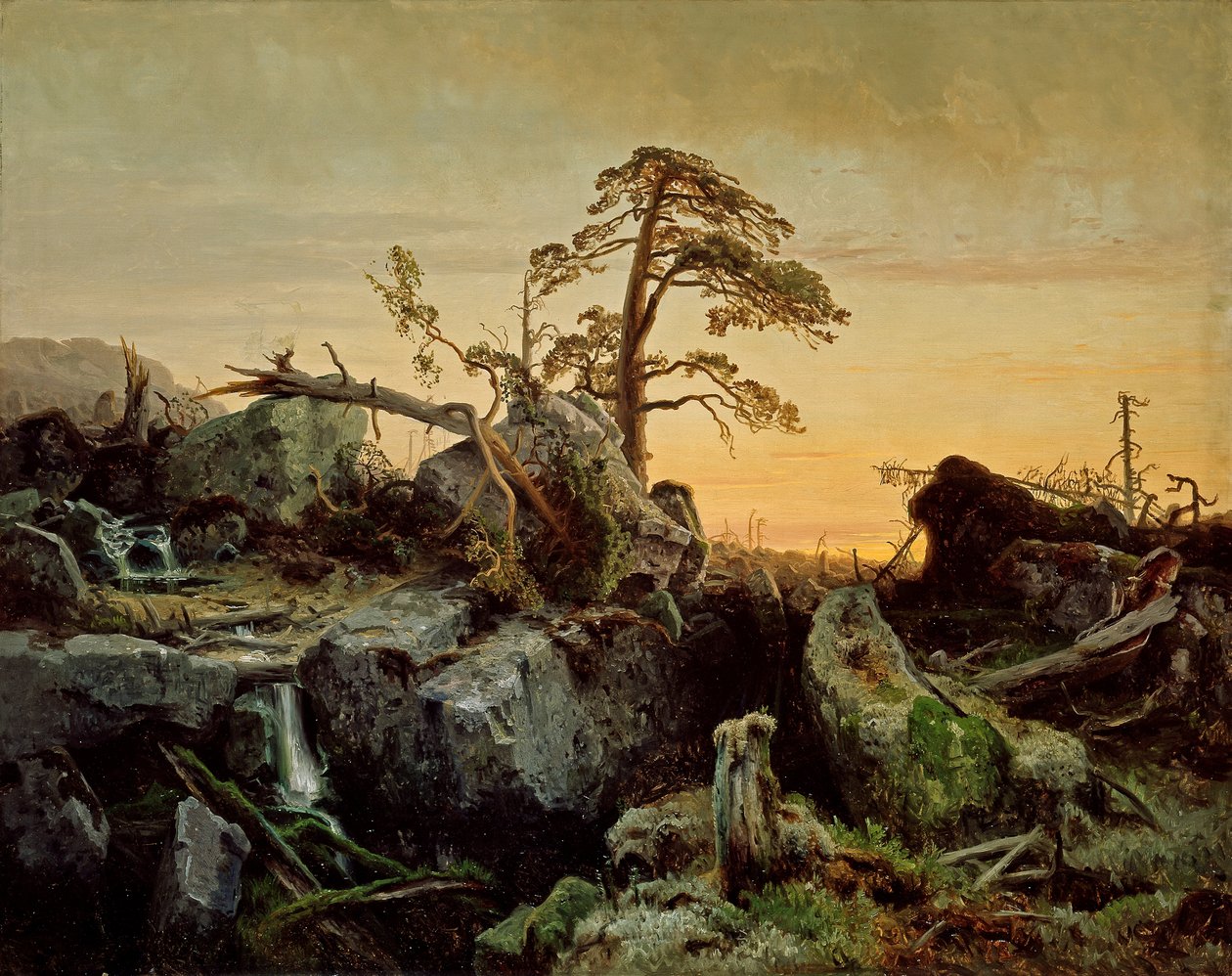 Døende jungel av August Cappelen