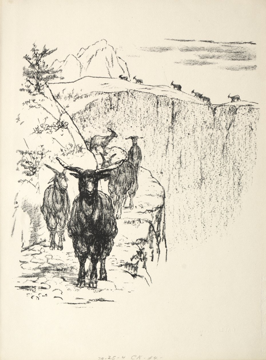 Geiter av August Gaul