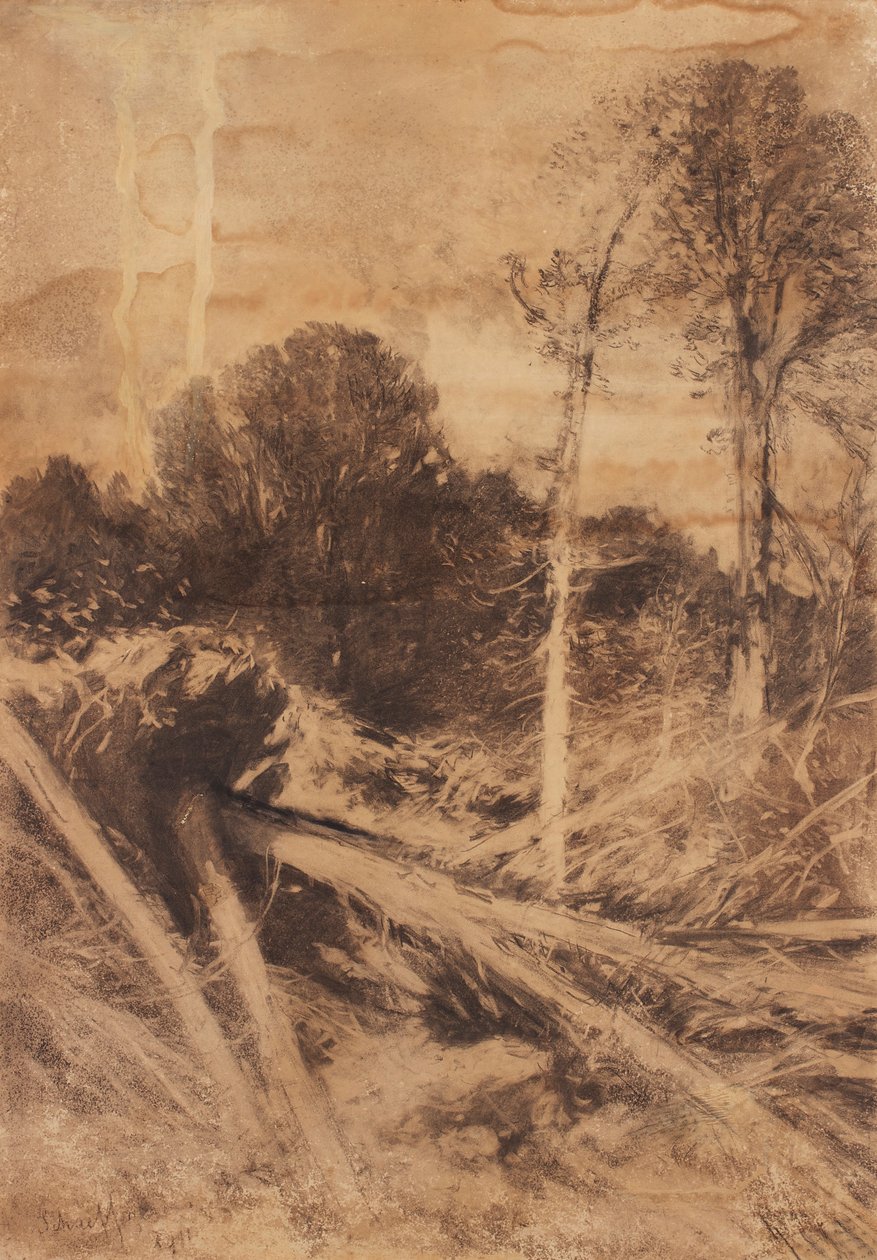 trestudie av August Schaeffer von Wienwald