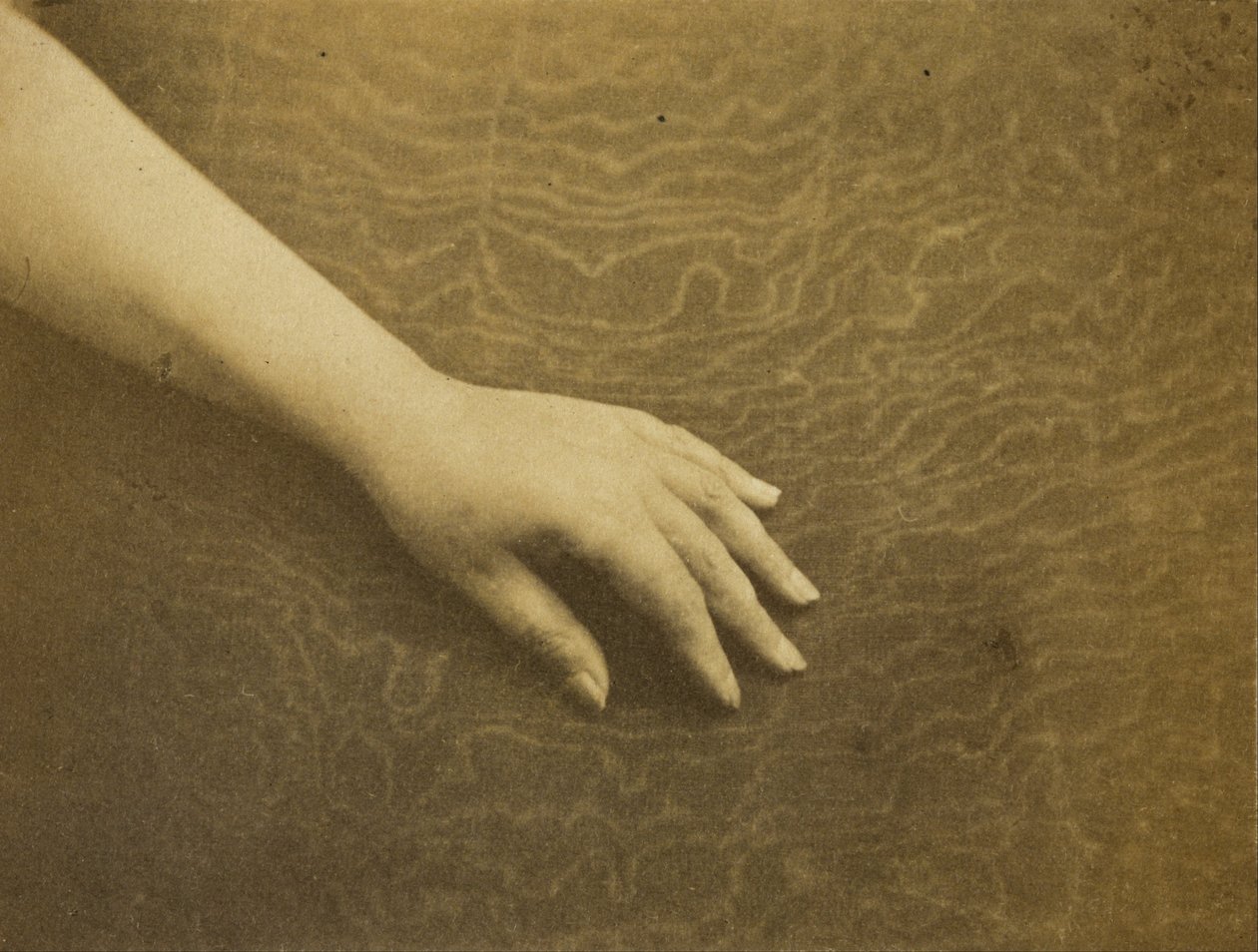 Madame Hugos hånd av Auguste Vacquerie