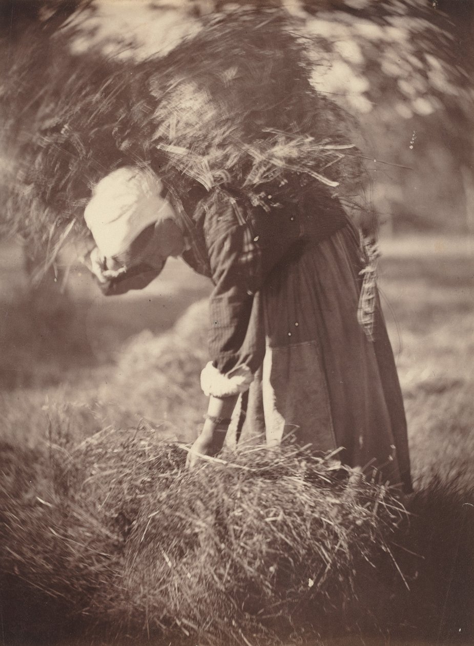 Bonde, ca. 1870. av Auguste Giraudon