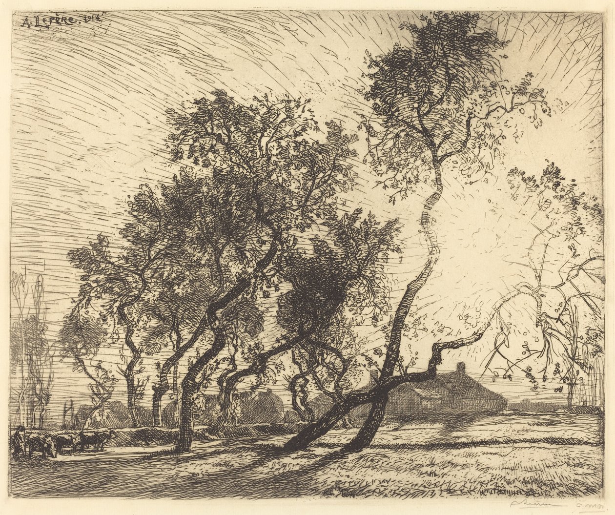 Holland Poplar Farm av Auguste Lepere