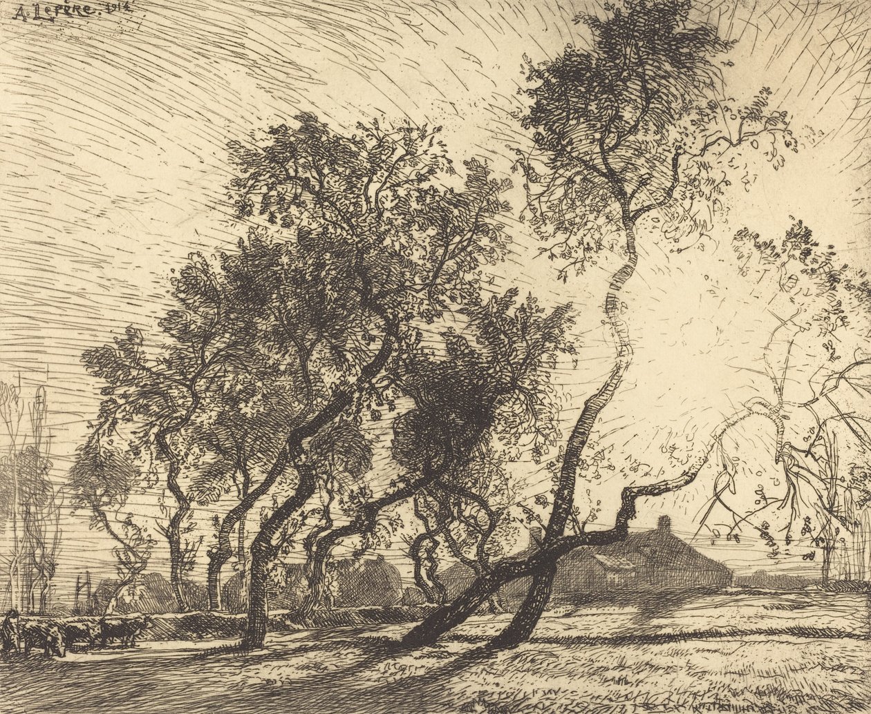 Den nederlandske poppelfarmen, 1914. av Auguste Lepere
