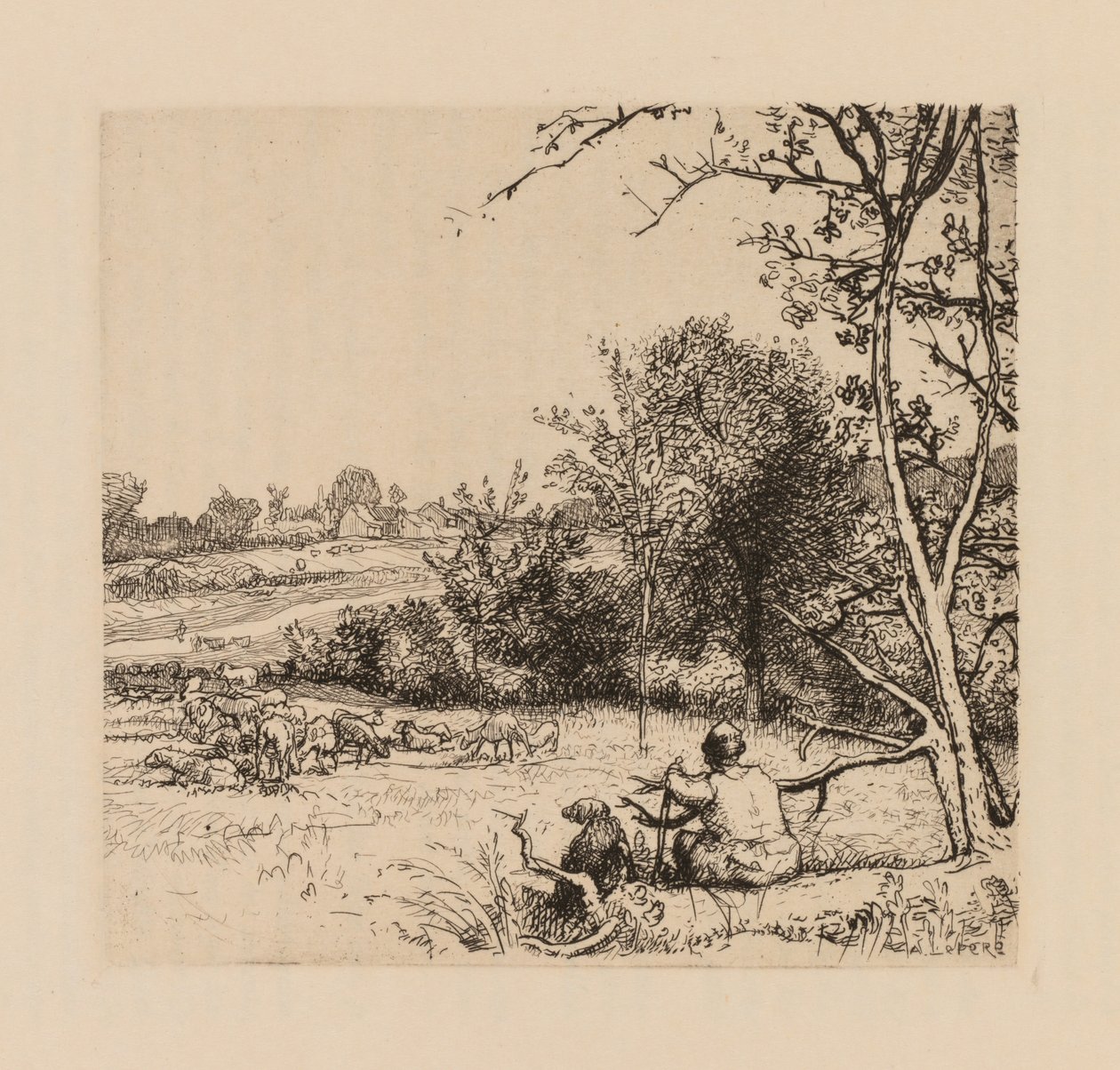 Auguste Lepère: Det veltede epletreet (Picardie) av Auguste Louis Lepère