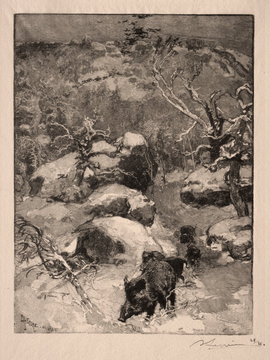 Roche Cuvier Chatillon av Auguste Louis Lepère