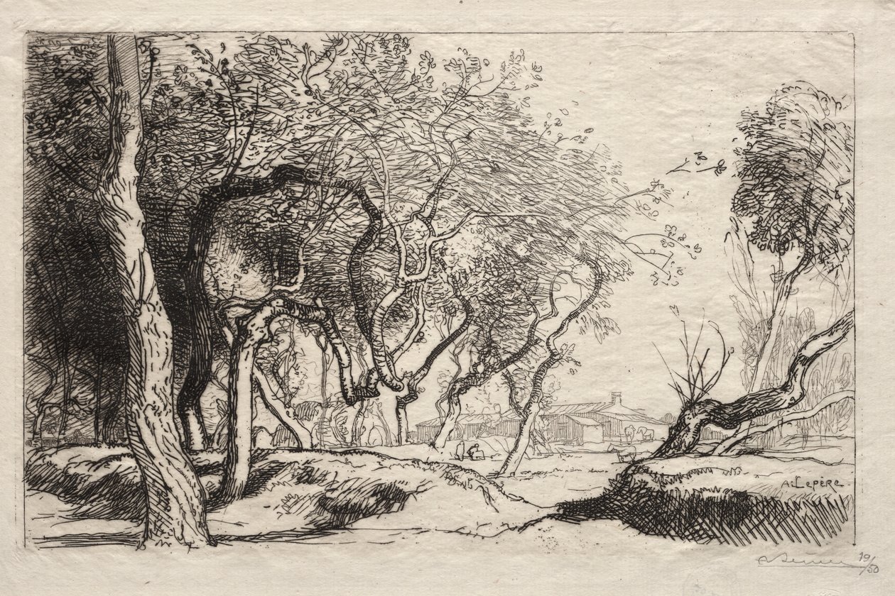 Det vridde treet av Auguste Louis Lepère