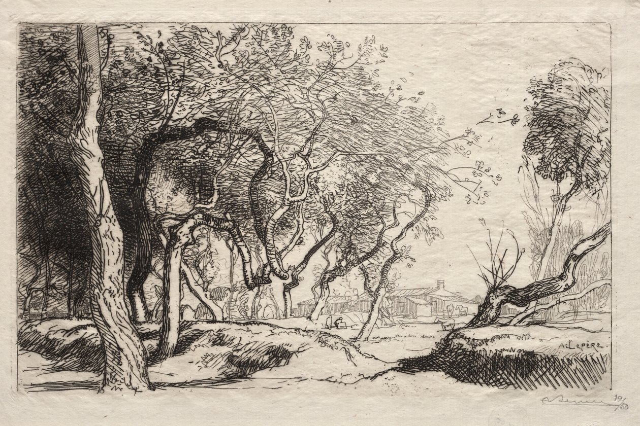 The Twisted Tree, 1915. av Auguste Louis Lepère
