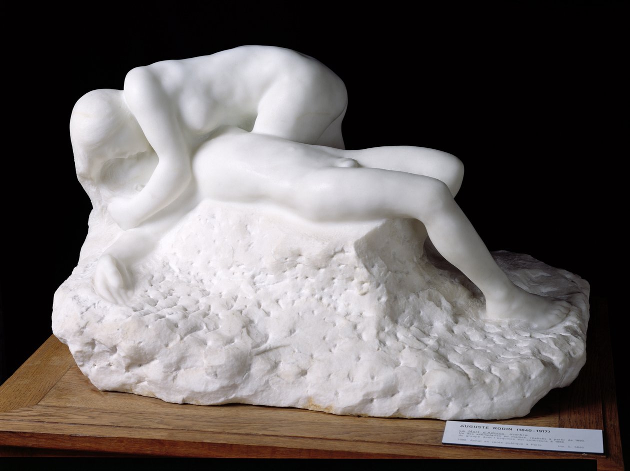 Adonis død, etter 1888 (marmor) av Auguste Rodin