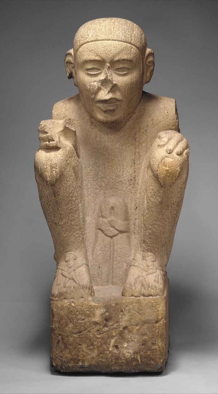 Fanebærer av Aztec