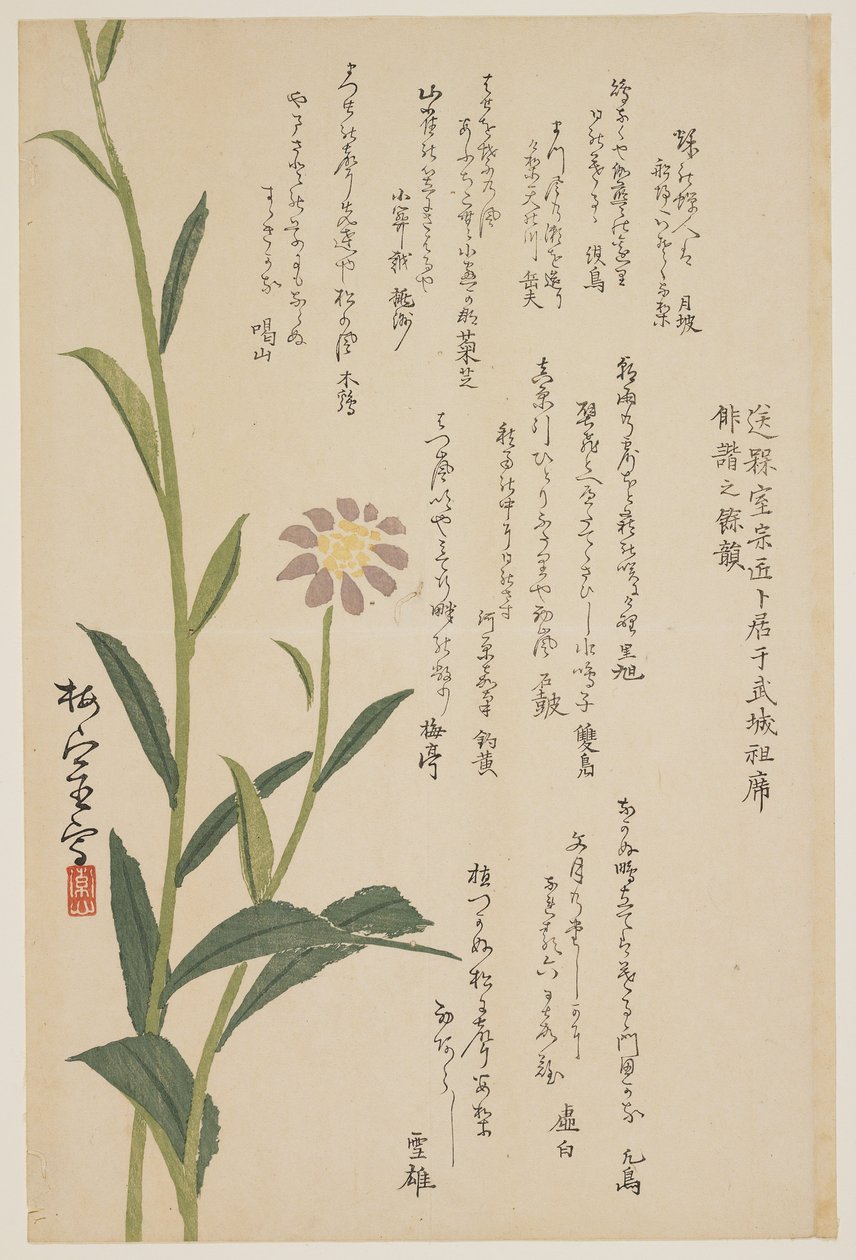 Lilla blomst, ca. 1830-1844 (treblokktrykk i farger) av Baishitsu