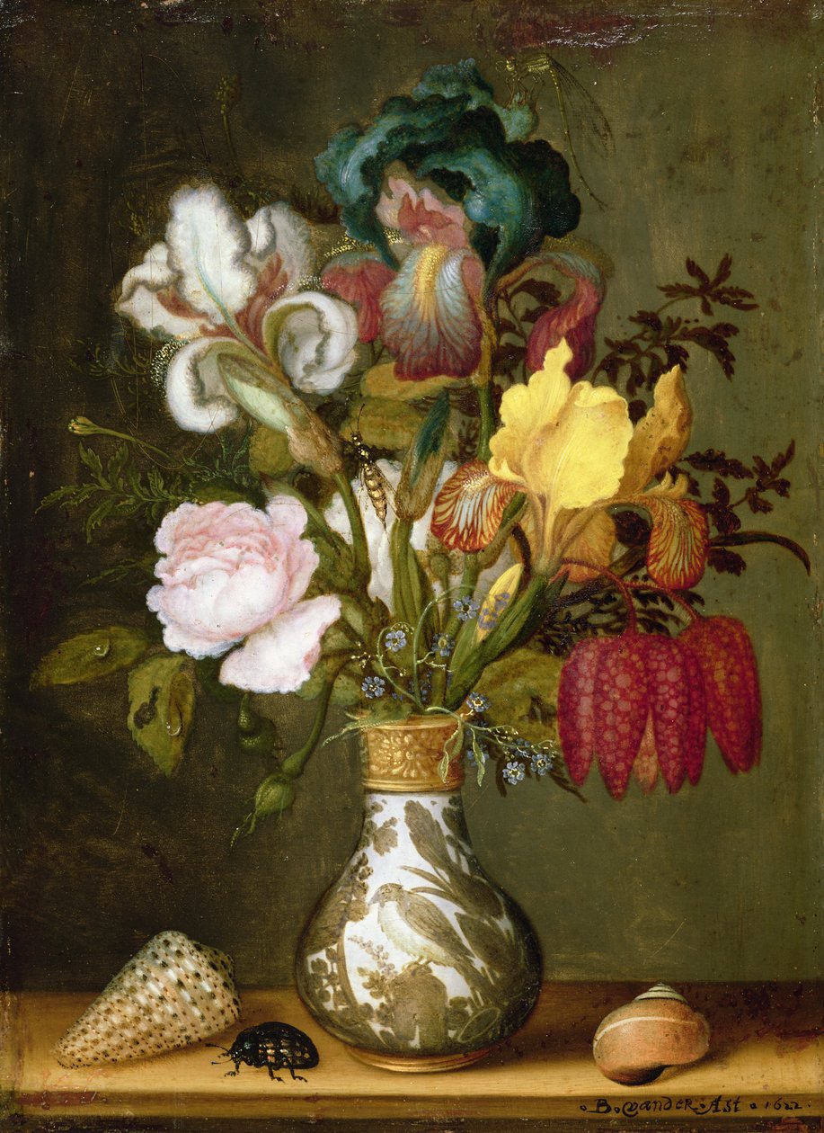 Ukjent bilde av Balthasar van der Ast
